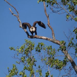 Meet your Posher, Norma